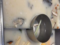 -新辣道鱼火锅(领展购物广场·中关村店)