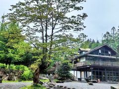 -山王坪喀斯特国家生态公园