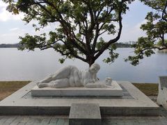-松山湖风景区松湖烟雨