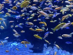 -成都浩海立方海洋公园