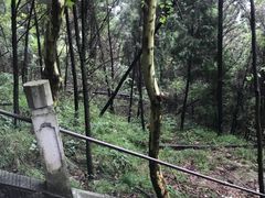 -窦圌山风景区