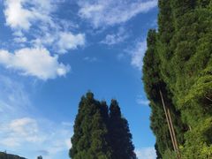 -武陵山森林公园