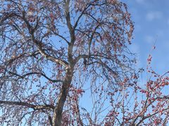 -晋阳饭庄(虎坊桥店)