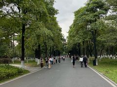 -海珠湖公园