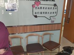 -宠福鑫动物医院(城北分院)