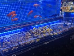 -五月罗马海鲜烤肉自助餐厅(印象城店)
