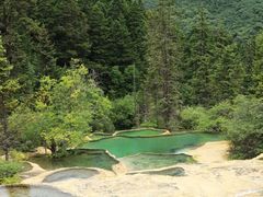 -黄龙山原始森林景区
