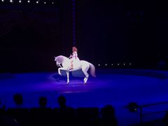 -珠海横琴长隆《卡卡虎奇遇记》