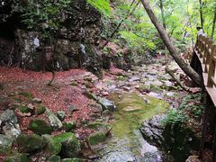 -本溪汤沟绿石谷森林公园