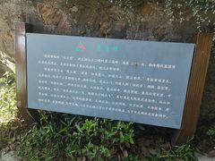 -雨花胜境