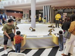 -超级奈尔宝SUPER NEOBIO(杭州星光店)