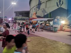 -东湖欢乐水世界
