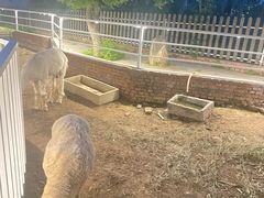 -丽泽山庄·生态怀柔菜·虹鳟鱼(红螺寺店)