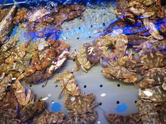 -澜悦港海鲜体验主题餐厅