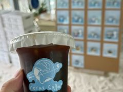 -Cetus coffee鲸鱼座咖啡·拼豆(二仙桥公园店)