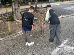 -奈良公园