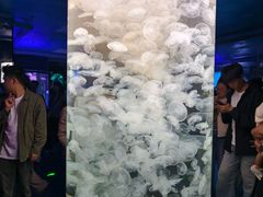 -芜湖新华联大白鲸海洋公园