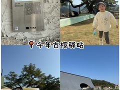 -罗浮山嘉宝田森林温泉度假酒店