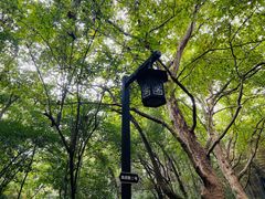 -杭州半山国家森林公园