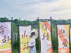 -苏州太湖国家湿地公园