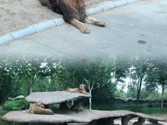 -北京野生动物园