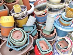 -苏州市皮市街花鸟工艺品市场