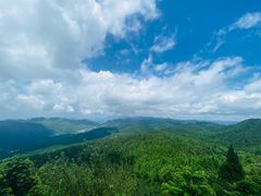 -武陵山森林公园