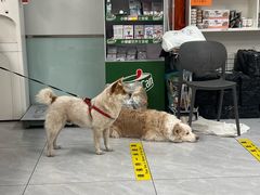 -达爱动物医院·犬猫分区·CT·复杂眼科(远洋山水分院)
