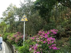 -梧桐山风景名胜区