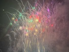 -花博汇(知音花月夜)