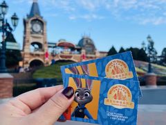 -上海迪士尼度假区