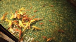 -酷嗒动物文化乐园(cutezoo西溪乐天城店)