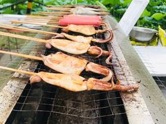 -尚庄度假村·庭台树下·户外烧烤·团建CS·轰趴营地(上庄水库店)