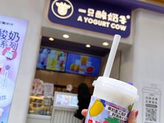-一只酸奶牛(八一路店)
