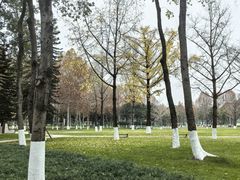 -重庆中央公园(渝北区)