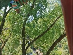 -秦岭终南山世界地质公园翠华山景区