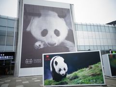 门面-成都大熊猫繁育研究基地