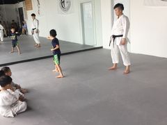 -IKMF马伽术KRAV MAGA以色列防身术