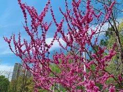 -江南大学(蠡湖校区)