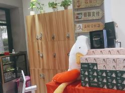 -心联形象设计·流星染