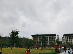 -中山市树木园