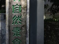 -大自然素食(望桐路店)