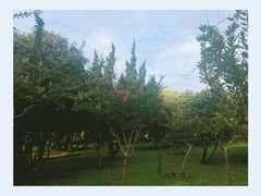 -汉水公园