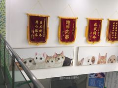 -爱侣宠医·鹦鹉专科·小型哺乳类·异宠专科(灵石路店)