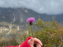 -阿坝州汶川特别旅游区