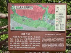 -海南热带雨林国家公园吊罗山景区