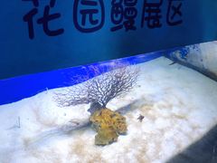 -江和美海洋公园