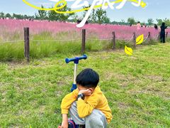 -汉长安城未央宫国家考古遗址公园