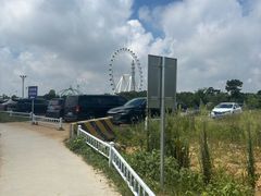 -日照海滨国家森林公园