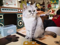 -小时光咖啡馆(北锣鼓巷店)